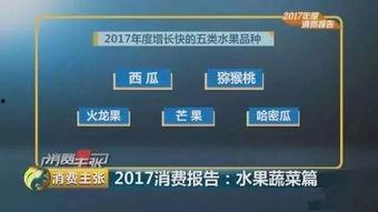 吃瓜群众在七零小说百度网盘,吃瓜群众视角下的奇幻世界